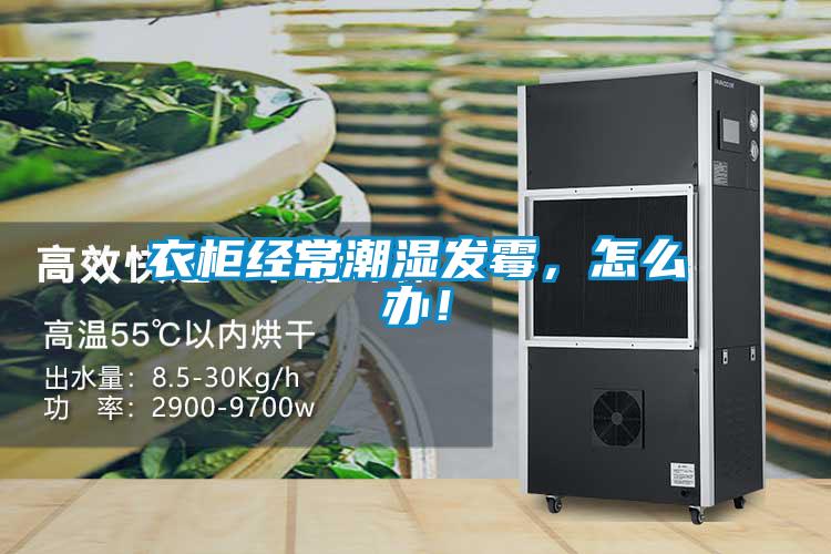 衣柜經常潮濕發霉，怎么辦！