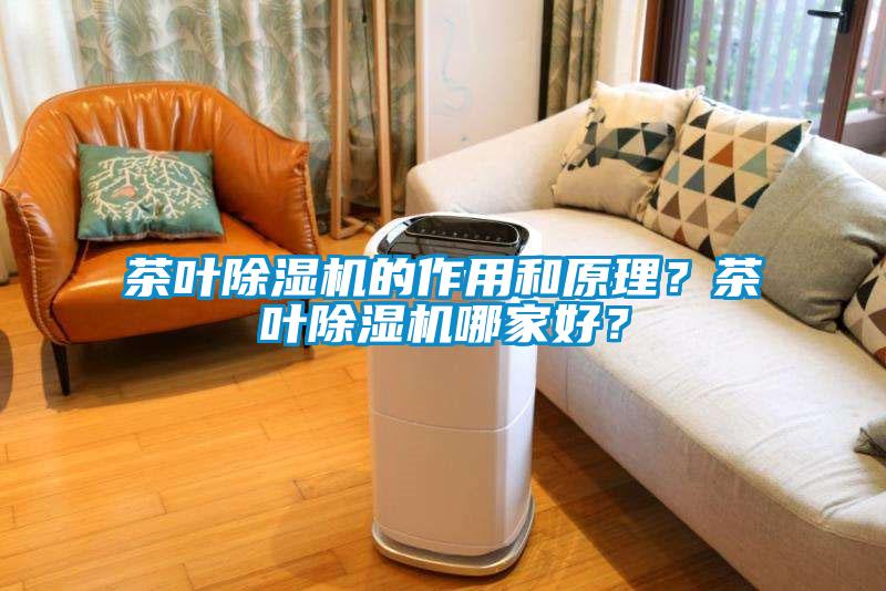 茶葉除濕機的作用和原理？茶葉除濕機哪家好？