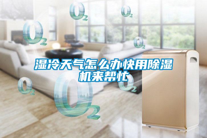 濕冷天氣怎么辦快用除濕機來幫忙