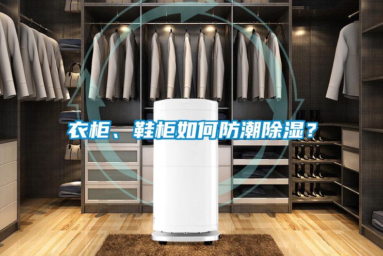 衣柜、鞋柜如何防潮除濕？