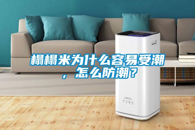 榻榻米為什么容易受潮，怎么防潮？