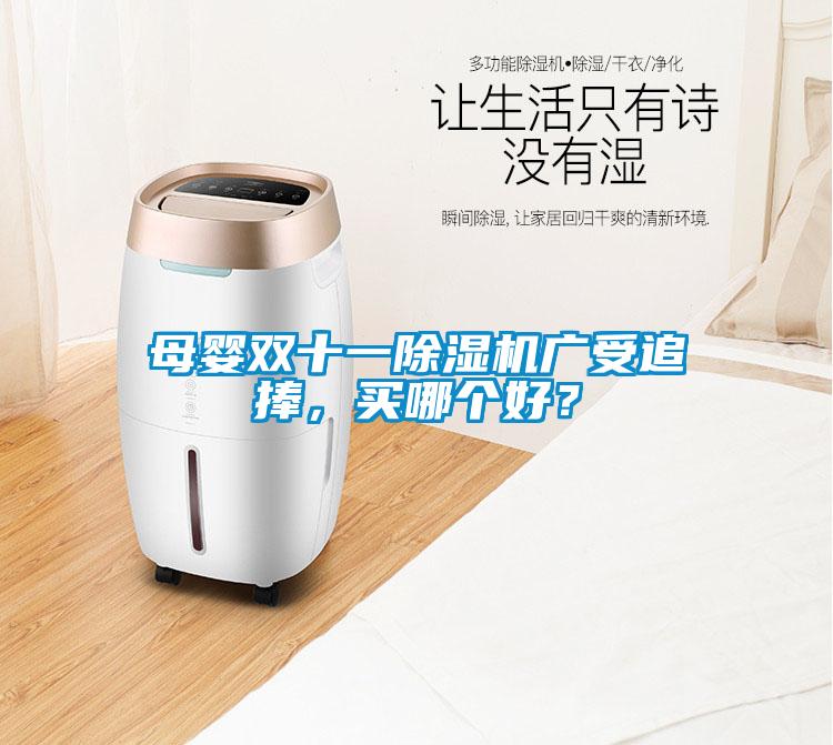 母嬰雙十一除濕機(jī)廣受追捧，買(mǎi)哪個(gè)好？