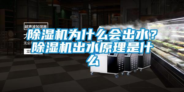 除濕機為什么會出水？除濕機出水原理是什么