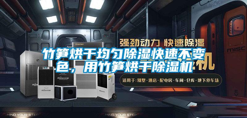 竹筍烘干均勻除濕快速不變色，用竹筍烘干除濕機