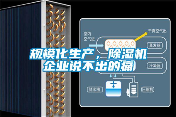 規(guī)模化生產(chǎn)，除濕機(jī)企業(yè)說(shuō)不出的痛