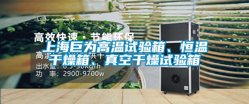 上海巨為高溫試驗箱、恒溫干燥箱、真空干燥試驗箱
