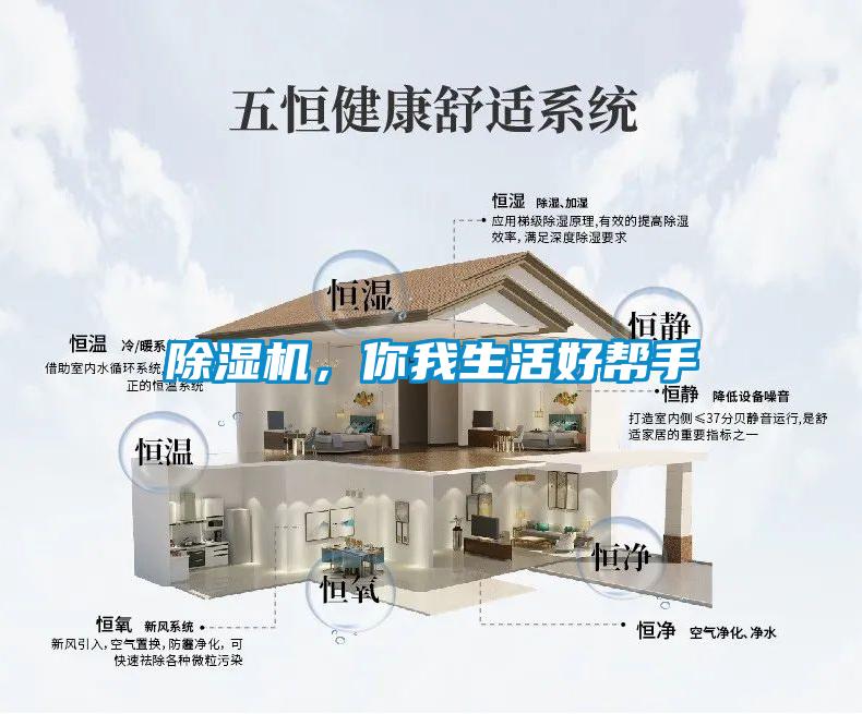 除濕機，你我生活好幫手