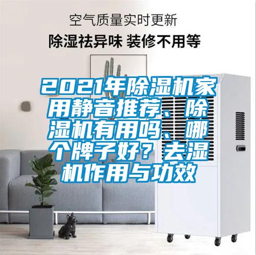 2021年除濕機家用靜音推薦、除濕機有用嗎、哪個牌子好？去濕機作用與功效