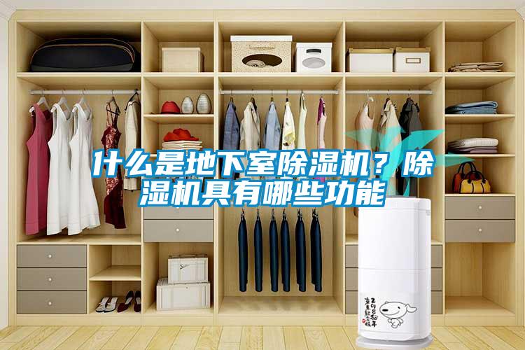 什么是地下室除濕機？除濕機具有哪些功能