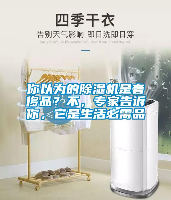 你以為的除濕機是奢侈品？不，專家告訴你，它是生活必需品