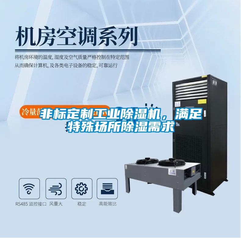 非標定制工業除濕機，滿足特殊場所除濕需求