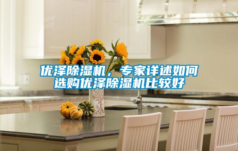 優(yōu)澤除濕機(jī)，專(zhuān)家詳述如何選購(gòu)優(yōu)澤除濕機(jī)比較好
