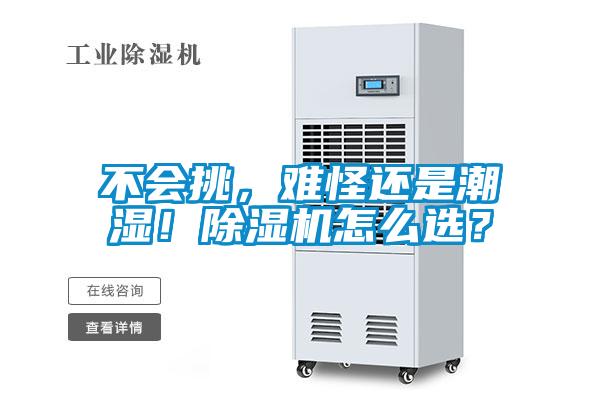 不會挑，難怪還是潮濕！除濕機怎么選？