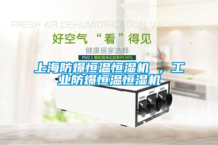 上海防爆恒溫恒濕機 ，工業防爆恒溫恒濕機
