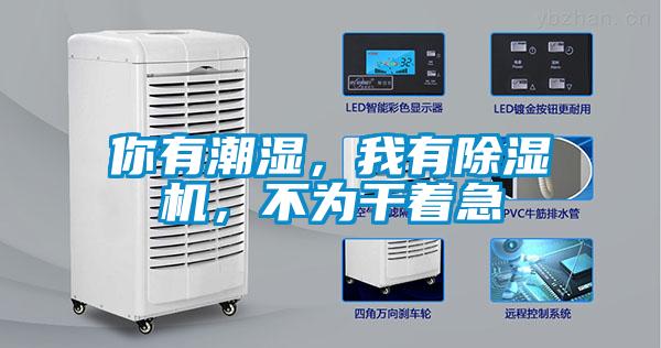你有潮濕，我有除濕機，不為干著急