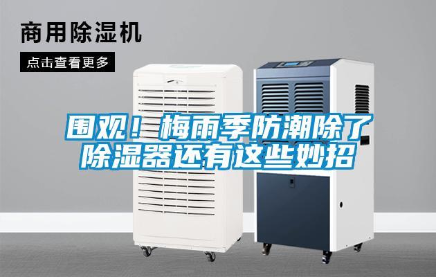 圍觀！梅雨季防潮除了除濕器還有這些妙招