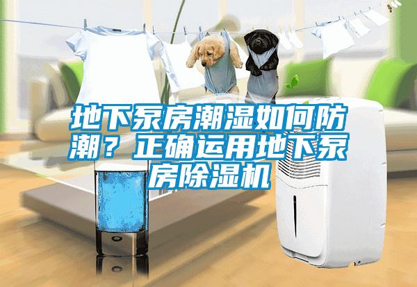地下泵房潮濕如何防潮？正確運用地下泵房除濕機