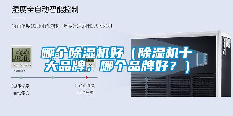 哪個(gè)除濕機(jī)好（除濕機(jī)十大品牌，哪個(gè)品牌好？）