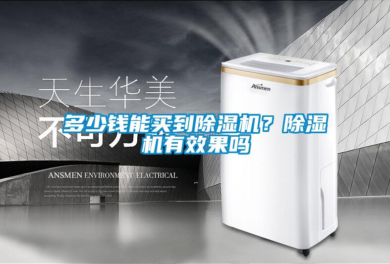 多少錢能買到除濕機(jī)？除濕機(jī)有效果嗎
