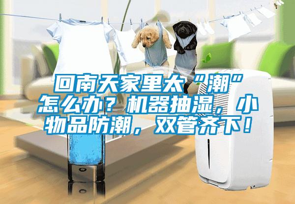 回南天家里太“潮”怎么辦？機器抽濕，小物品防潮，雙管齊下！