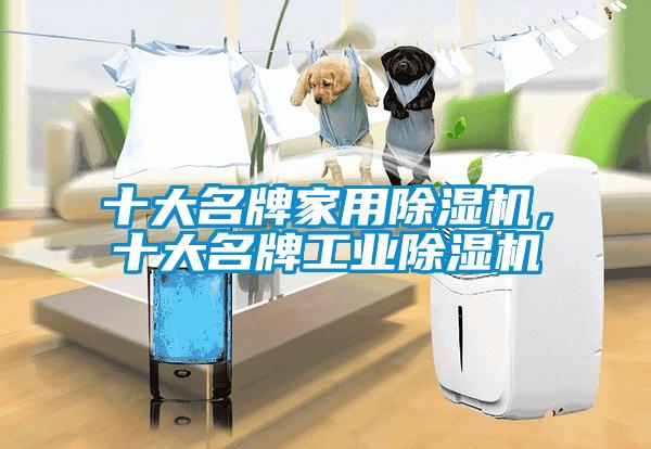 十大名牌家用除濕機，十大名牌工業除濕機
