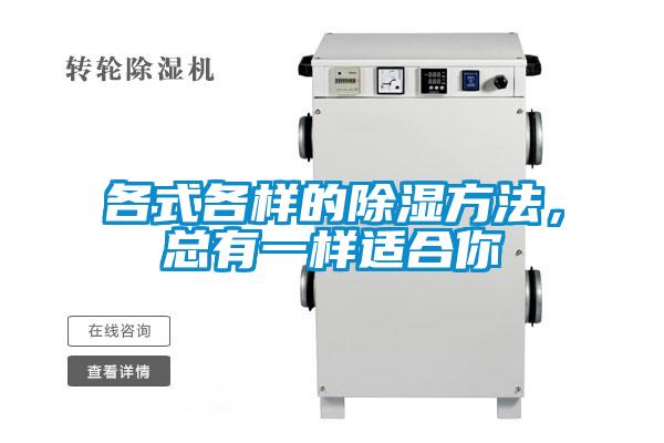 各式各樣的除濕方法，總有一樣適合你