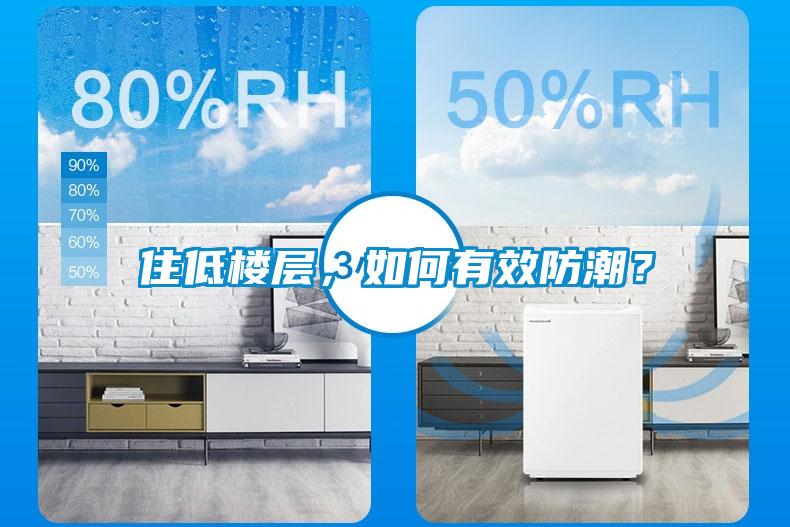 住低樓層，如何有效防潮？