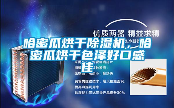 哈密瓜烘干除濕機(jī)，哈密瓜烘干色澤好口感佳