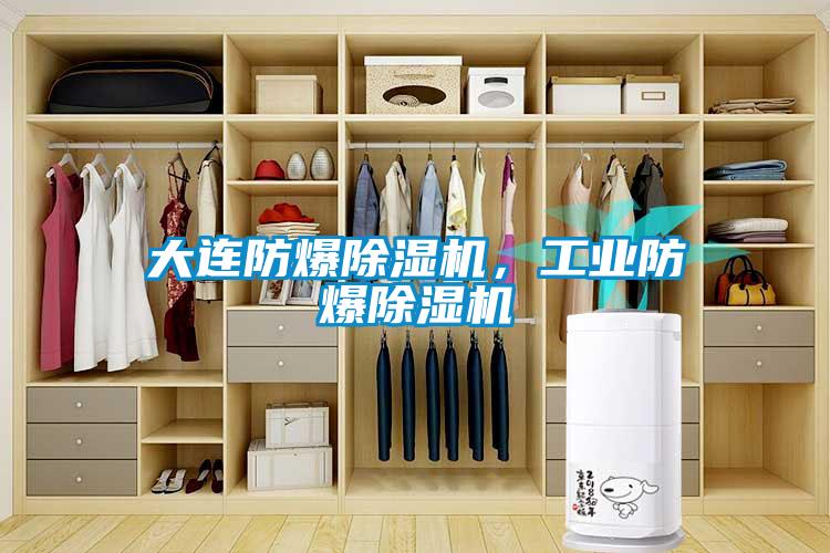 大連防爆除濕機，工業防爆除濕機