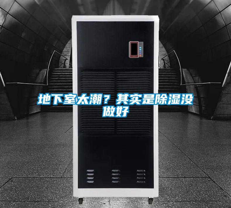 地下室太潮？其實是除濕沒做好