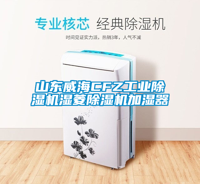 山東威海CFZ工業除濕機濕菱除濕機加濕器