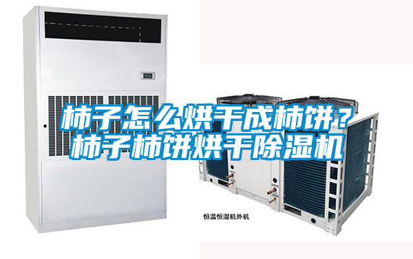 柿子怎么烘干成柿餅？柿子柿餅烘干除濕機