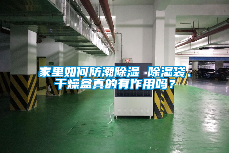 家里如何防潮除濕 除濕袋、干燥盒真的有作用嗎？
