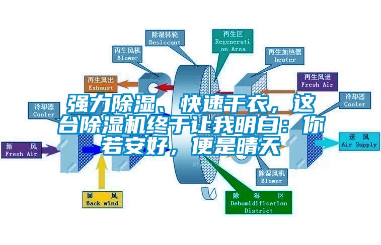 強(qiáng)力除濕、快速干衣，這臺除濕機(jī)終于讓我明白：你若安好，便是晴天