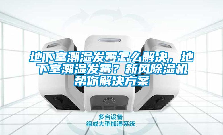 地下室潮濕發霉怎么解決，地下室潮濕發霉？新風除濕機幫你解決方案