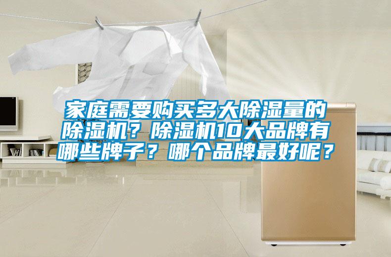 家庭需要購買多大除濕量的除濕機？除濕機10大品牌有哪些牌子？哪個品牌最好呢？