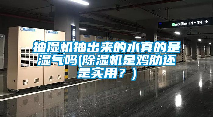 抽濕機(jī)抽出來的水真的是濕氣嗎(除濕機(jī)是雞肋還是實用？)