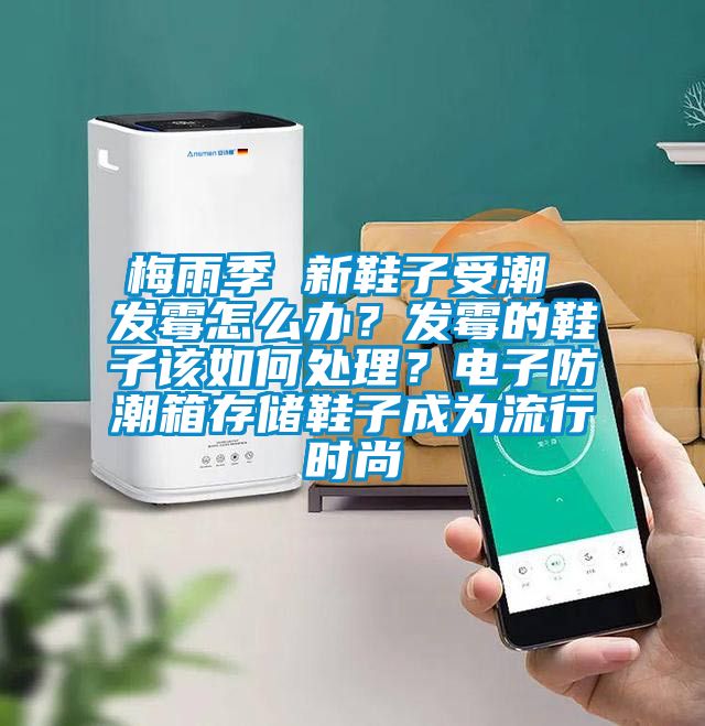 梅雨季 新鞋子受潮 發霉怎么辦？發霉的鞋子該如何處理？電子防潮箱存儲鞋子成為流行時尚