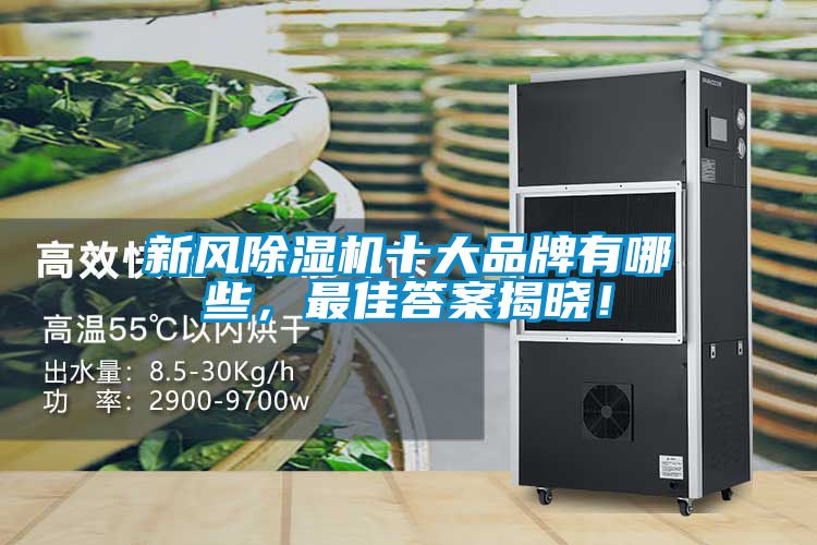 新風除濕機十大品牌有哪些，最佳答案揭曉！