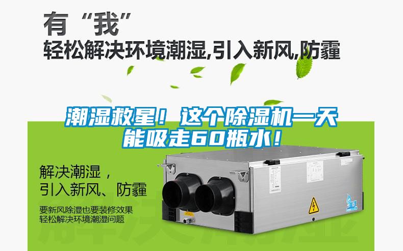 潮濕救星！這個除濕機一天能吸走60瓶水！