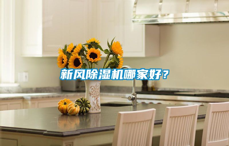 新風除濕機哪家好？