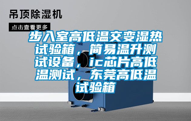 步入室高低溫交變濕熱試驗箱，簡易溫升測試設備，ic芯片高低溫測試，東莞高低溫試驗箱