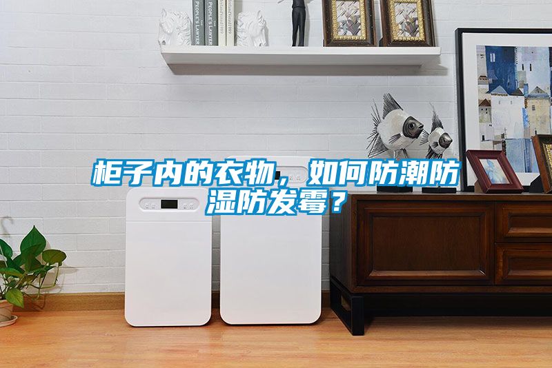 柜子內的衣物，如何防潮防濕防發霉？