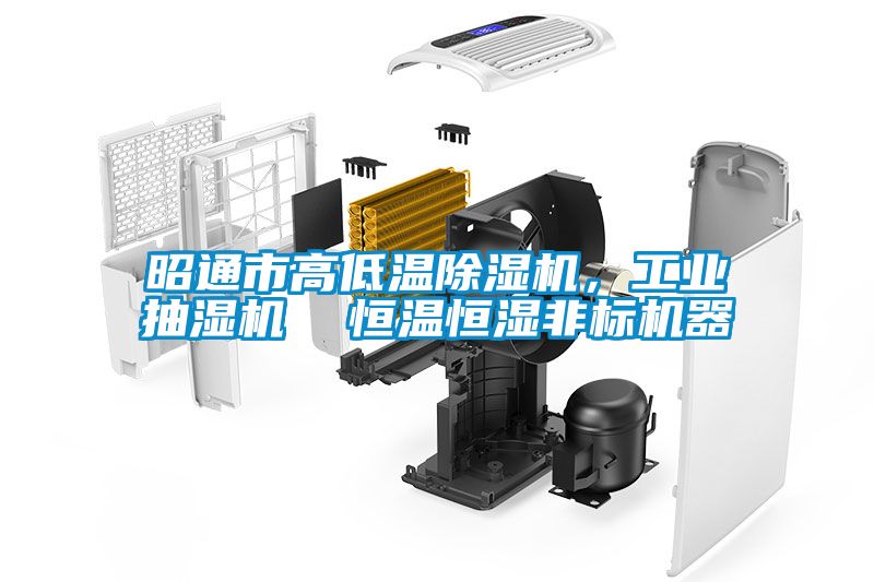 昭通市高低溫除濕機，工業抽濕機  恒溫恒濕非標機器