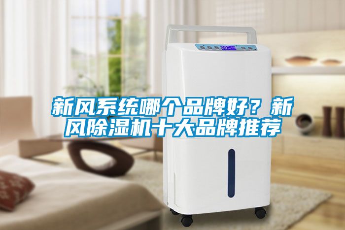 新風(fēng)系統(tǒng)哪個品牌好？新風(fēng)除濕機十大品牌推薦