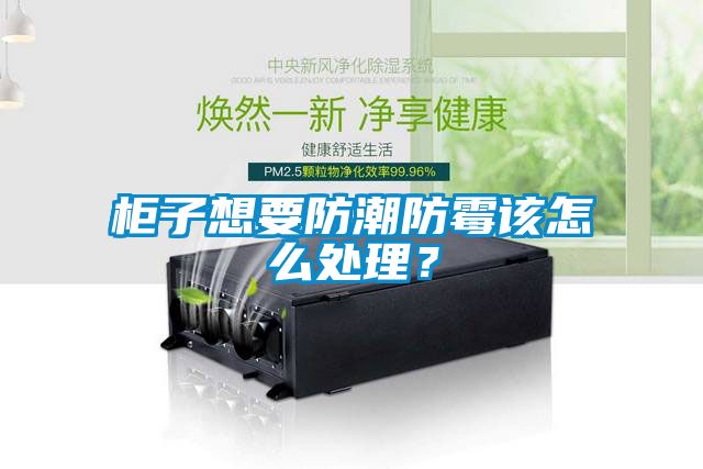 柜子想要防潮防霉該怎么處理？