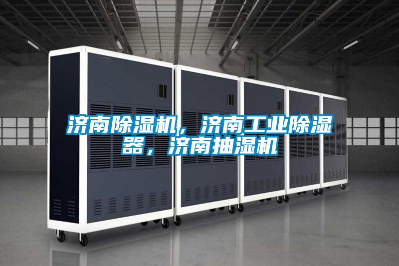濟南除濕機，濟南工業除濕器，濟南抽濕機