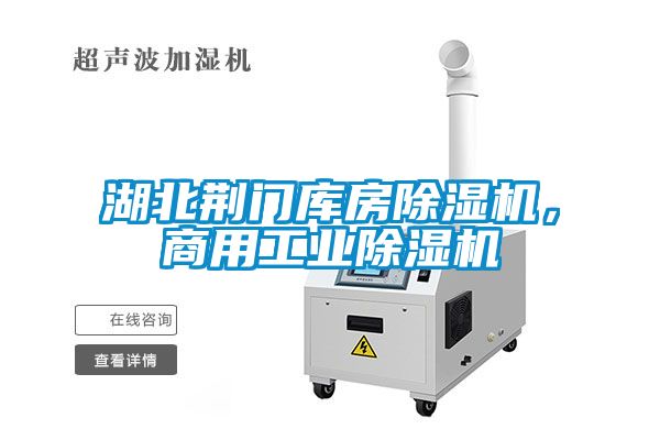 湖北荊門庫房除濕機(jī)，商用工業(yè)除濕機(jī)