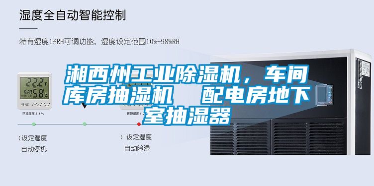 湘西州工業(yè)除濕機，車間庫房抽濕機  配電房地下室抽濕器