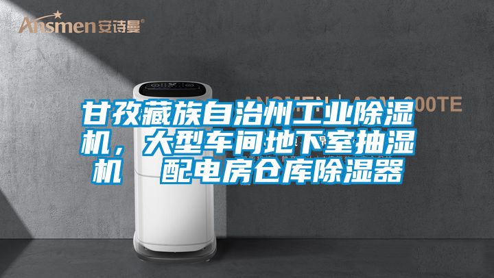 甘孜藏族自治州工業除濕機，大型車間地下室抽濕機  配電房倉庫除濕器
